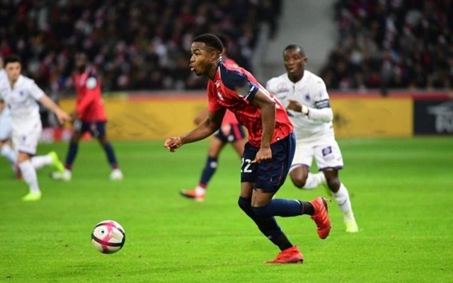 阵容雏形如 阵容雏形如